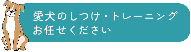 愛犬のしつけ・トレーニング お任せください We provide loving training for a good relationship between owner and dog.